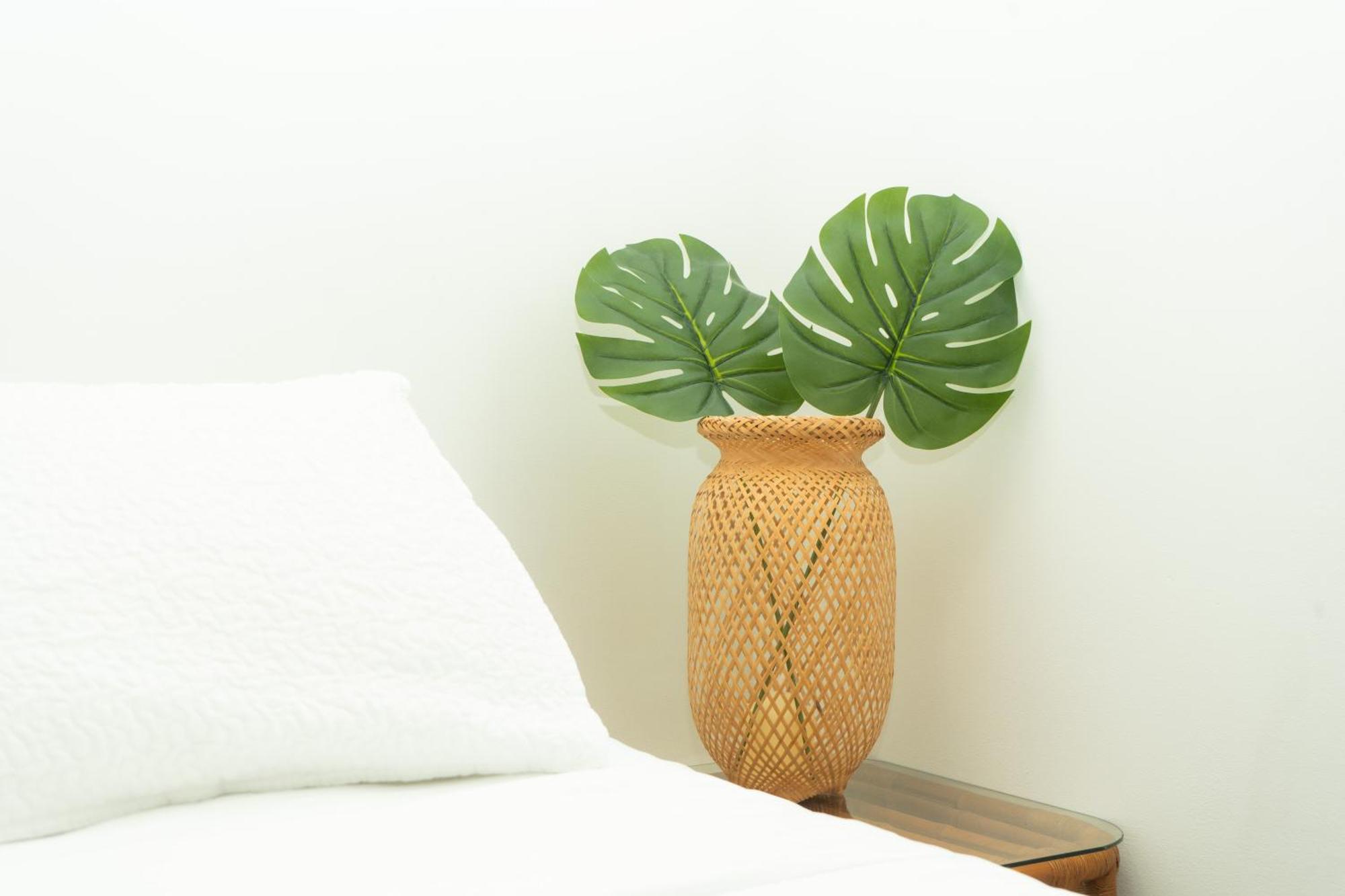 Puesta Del Sol Guest House San Andrés المظهر الخارجي الصورة